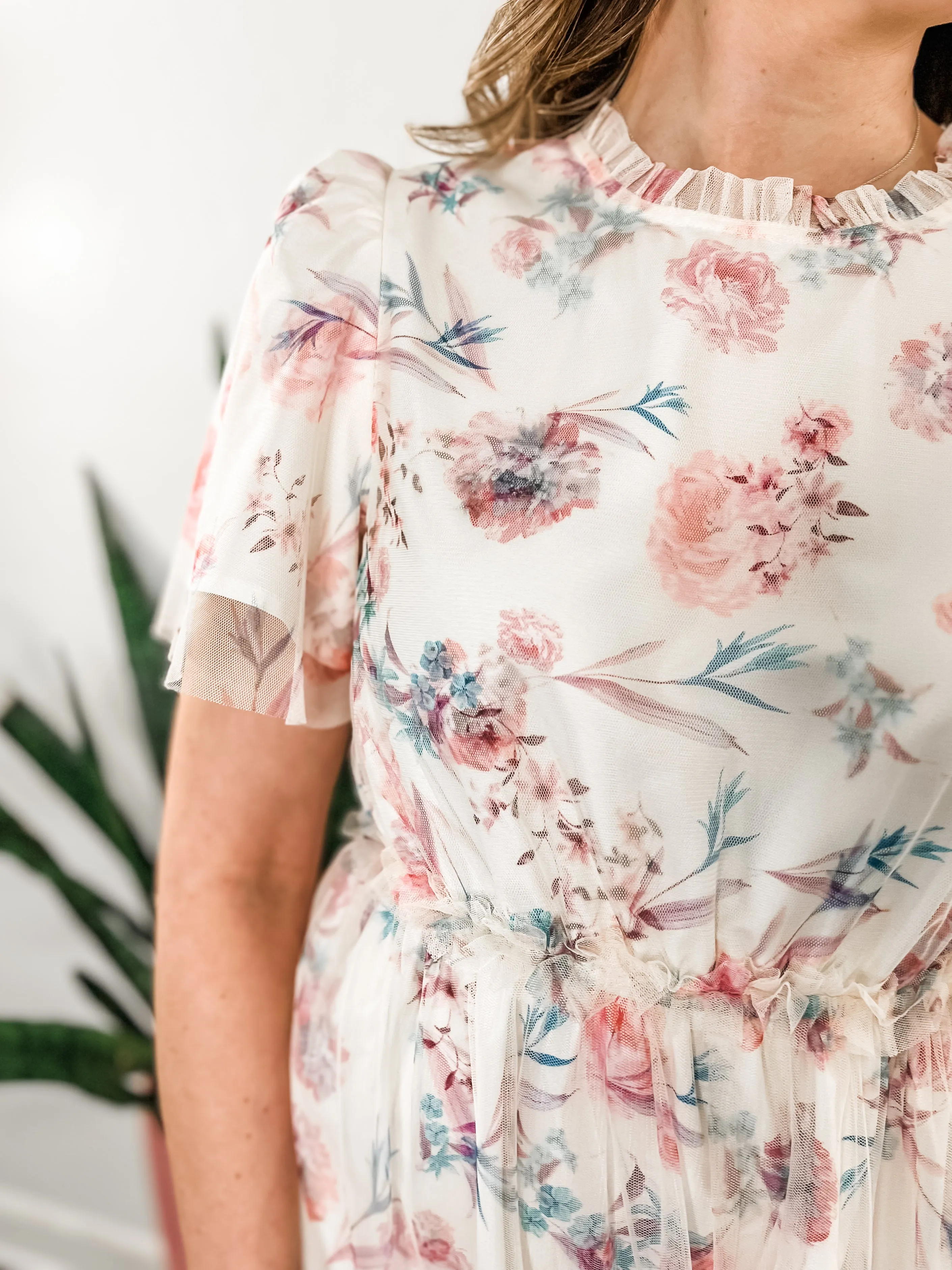 Floral Print Mesh Ruffled Dress