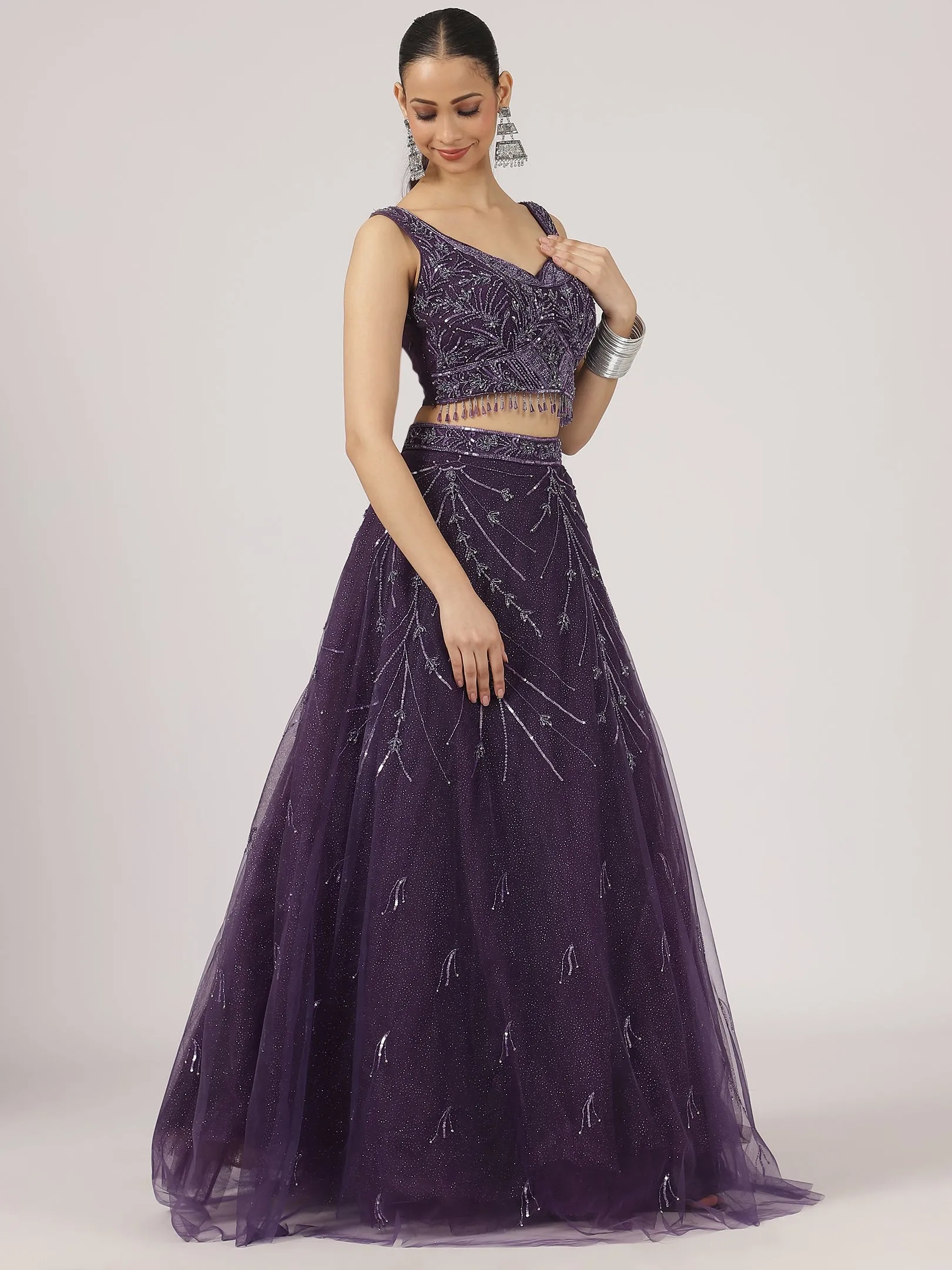 Regal Purple Embroidered Net Lehenga with Sequin Detailing