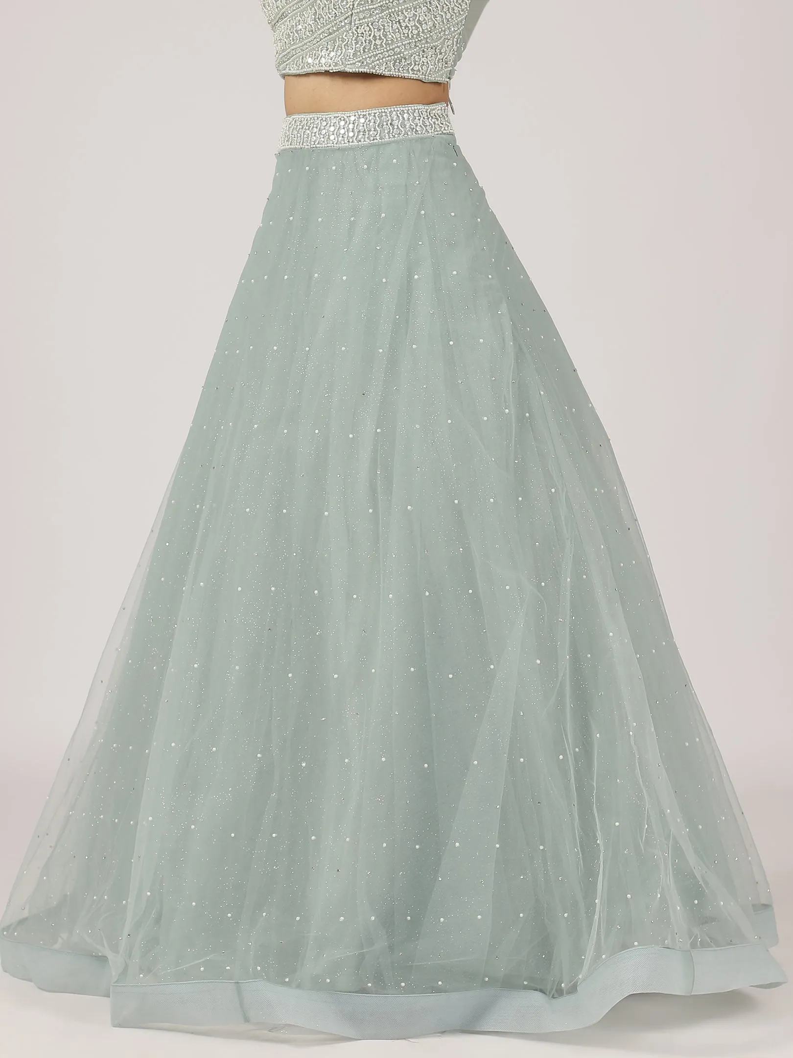 Sage Green Net Lehenga with Sequin Embellishments & Designer Blouse