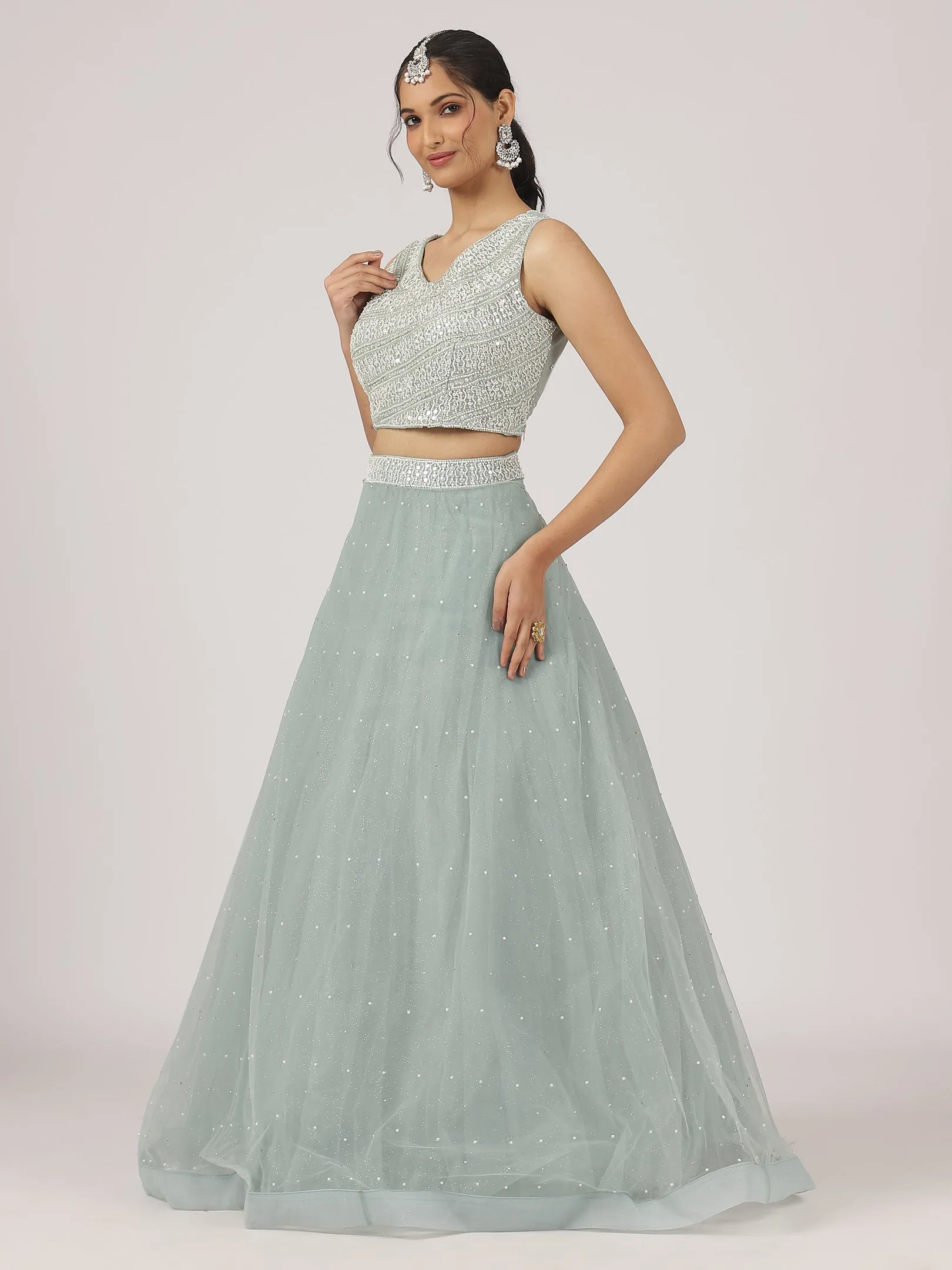 Sage Green Net Lehenga with Sequin Embellishments & Designer Blouse