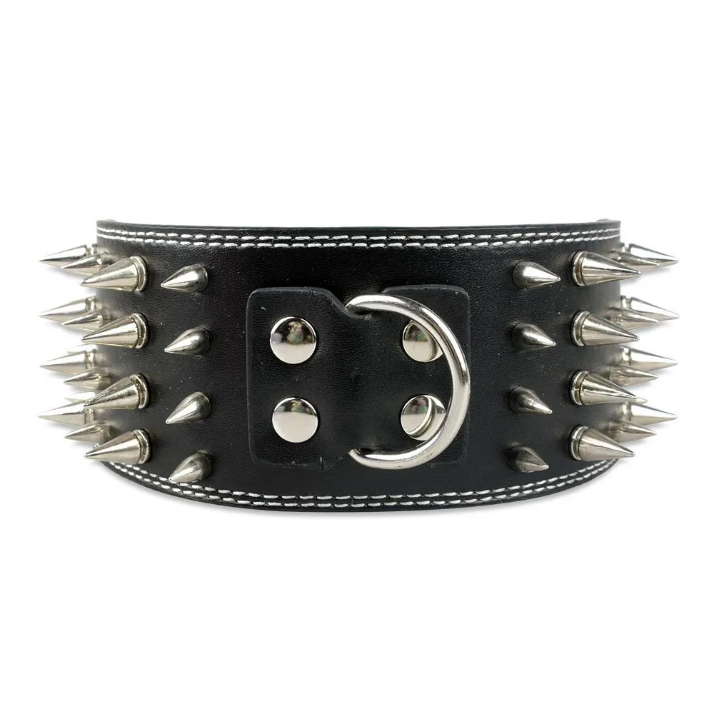 Studded Leather Dog Collar