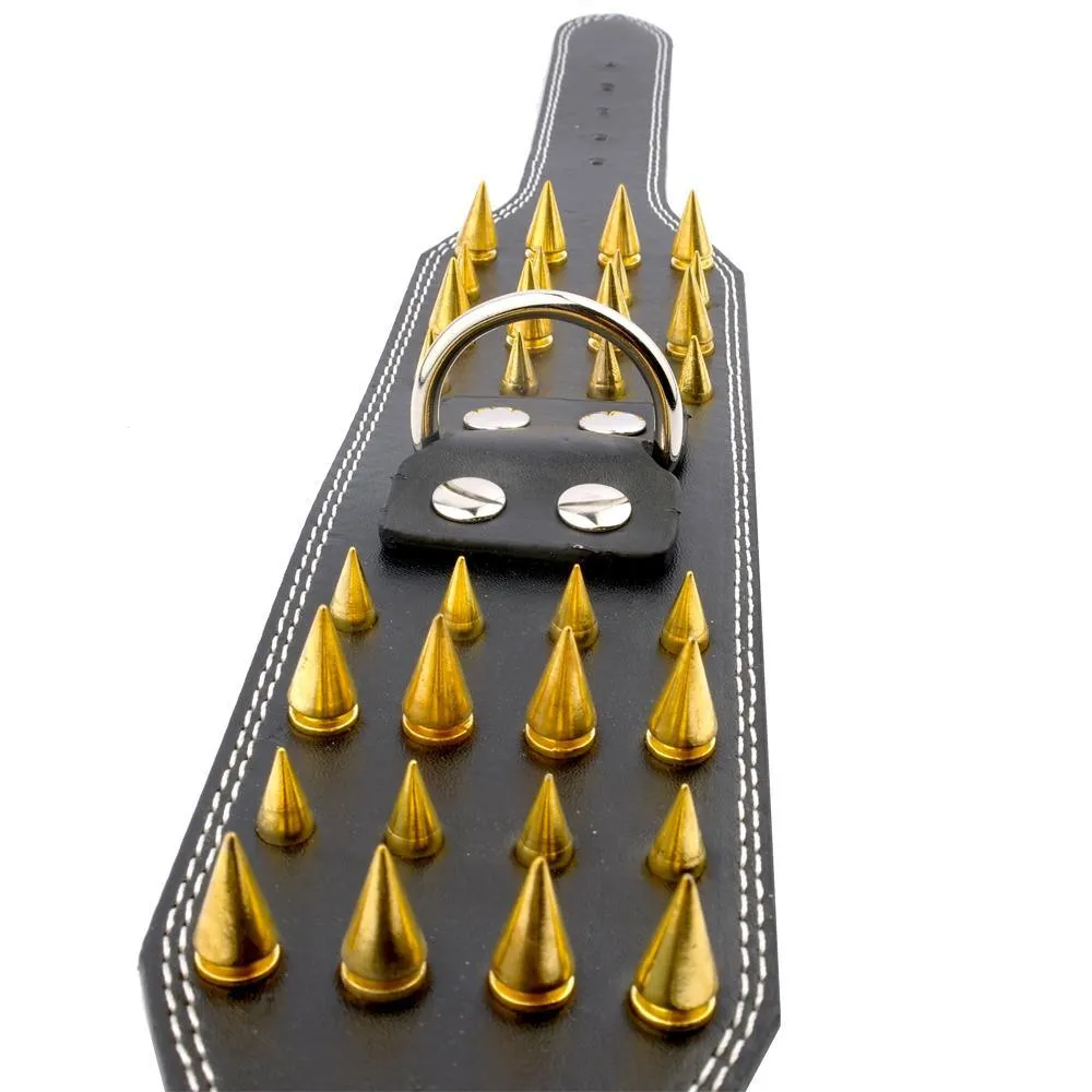 Studded Leather Dog Collar